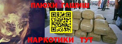 прущие грибы Краснодар