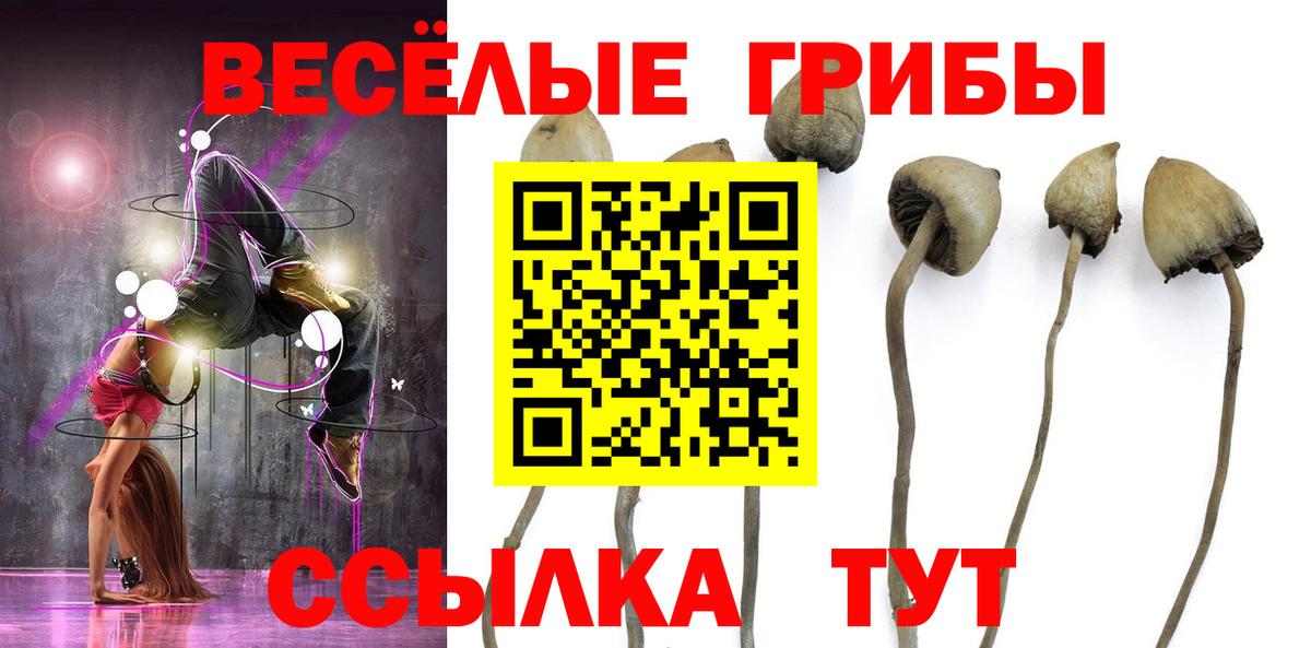 Галлюциногенные грибы мухоморы Всеволожск
