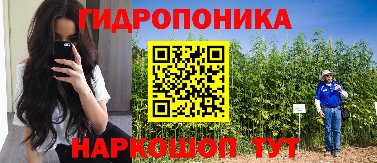 Конопля White Widow  МАРИХУАНА White Widow  Вход с VPN  Всеволожск  МАРИХУАНА Ganja 